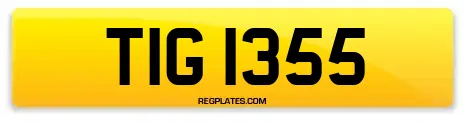 TIG 1355