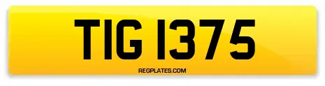 TIG 1375