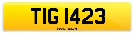 TIG 1423