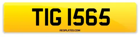 TIG 1565