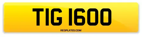 TIG 1600