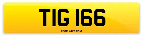 TIG 166