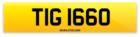 TIG 1660