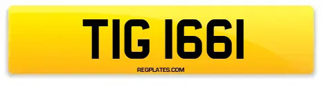 TIG 1661