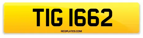 TIG 1662