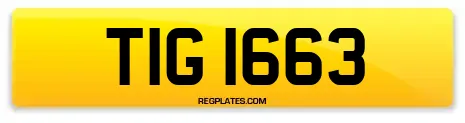 TIG 1663