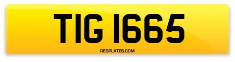TIG 1665
