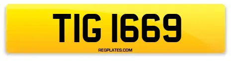 TIG 1669