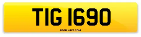 TIG 1690