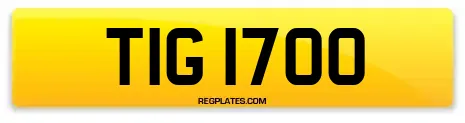 TIG 1700