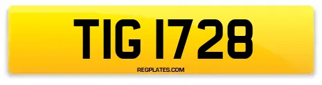 TIG 1728