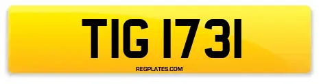 TIG 1731