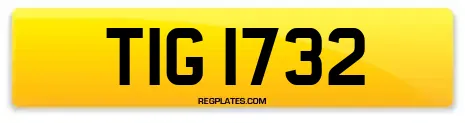TIG 1732