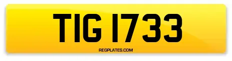 TIG 1733