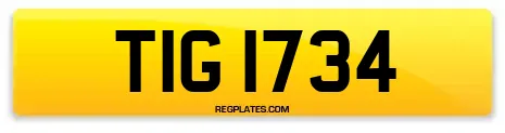 TIG 1734