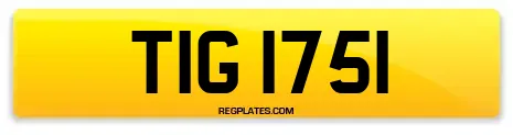 TIG 1751