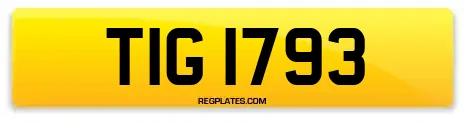 TIG 1793