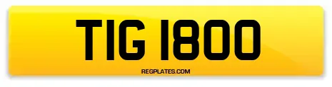 TIG 1800