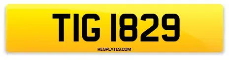 TIG 1829