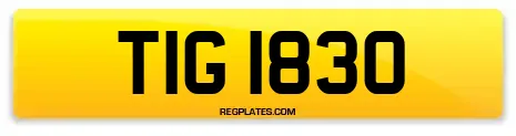 TIG 1830
