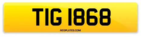 TIG 1868