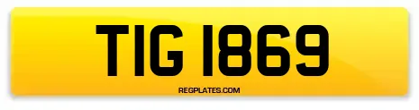 TIG 1869