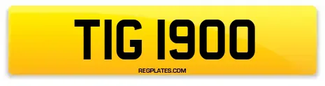 TIG 1900