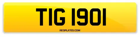 TIG 1901