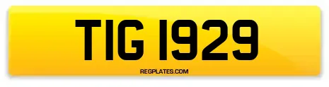 TIG 1929