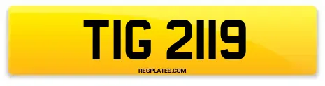 TIG 2119