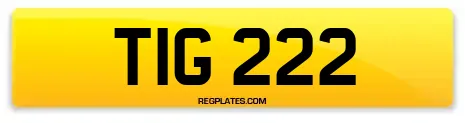 TIG 222