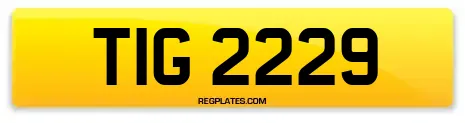 TIG 2229