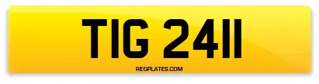 TIG 2411