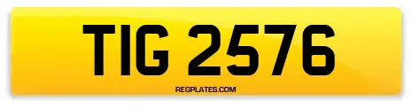TIG 2576