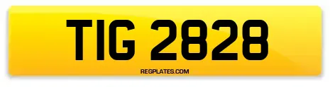 TIG 2828