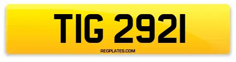 TIG 2921