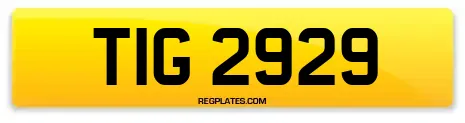 TIG 2929