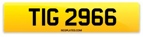 TIG 2966