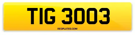 TIG 3003