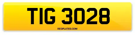 TIG 3028