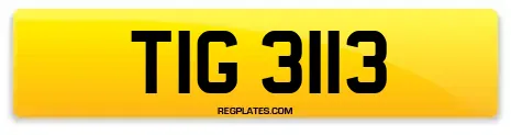 TIG 3113
