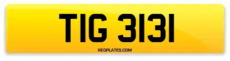 TIG 3131