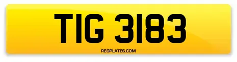 TIG 3183