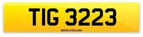 TIG 3223