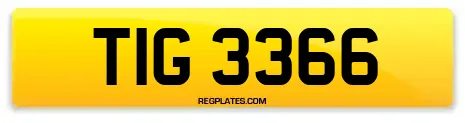 TIG 3366