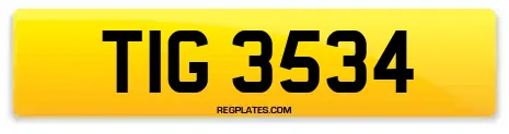 TIG 3534