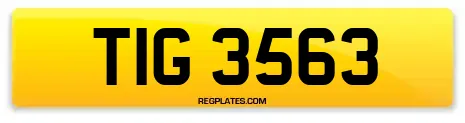 TIG 3563