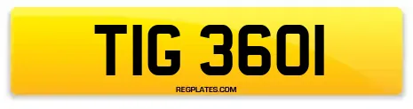 TIG 3601