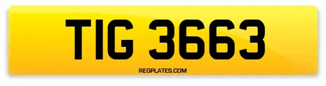 TIG 3663