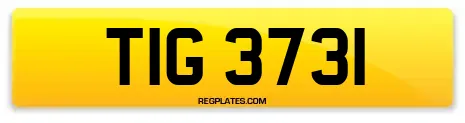 TIG 3731